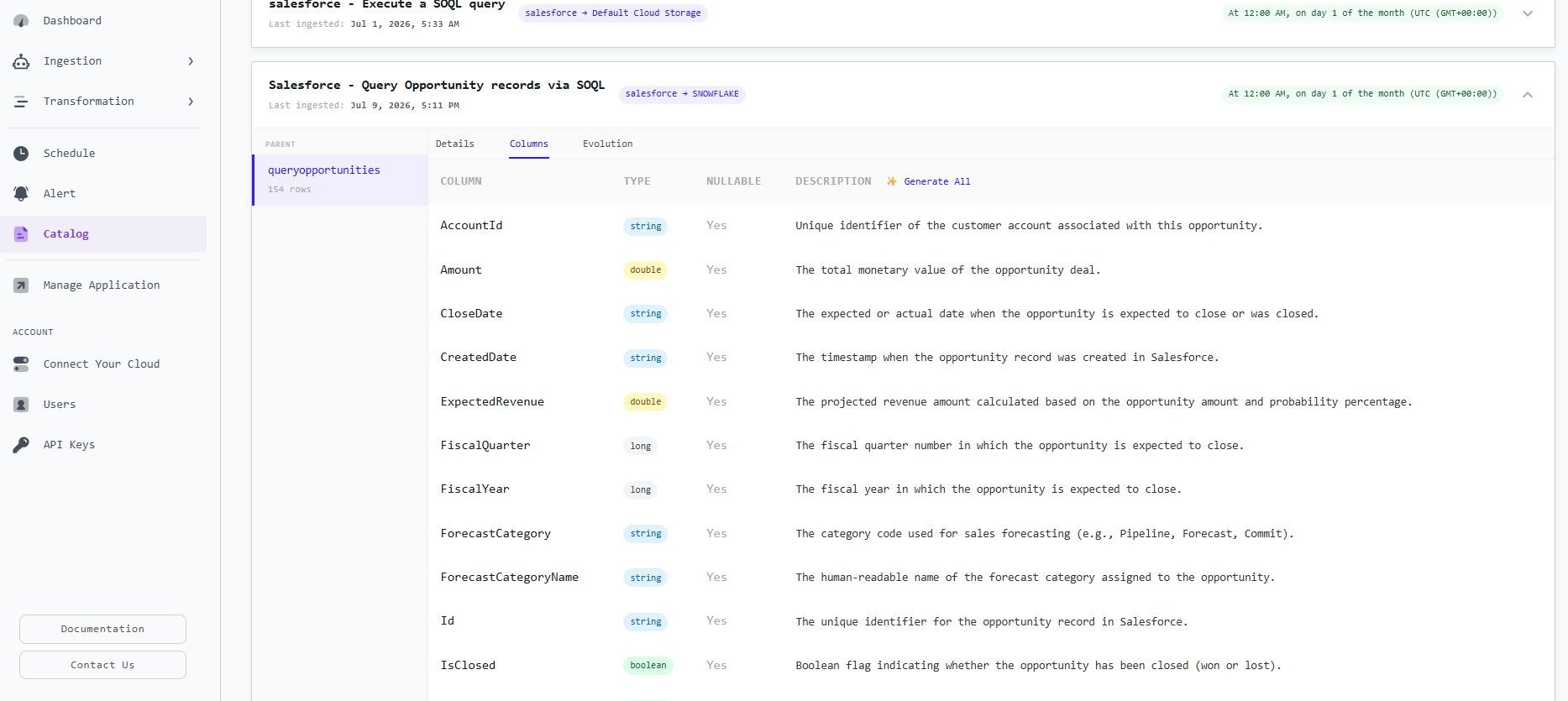 DataStori Data Catalog showing the Opportunity table with Id, Name, Amount, StageName, CloseDate, and ExpectedRevenue columns